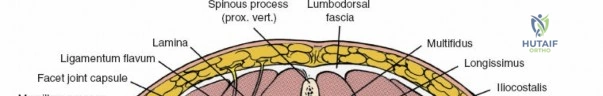 Clinical Image