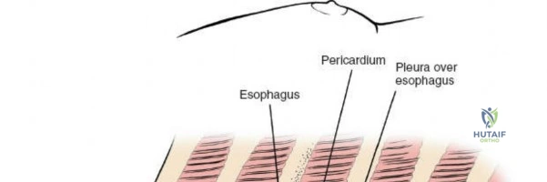 Clinical Image