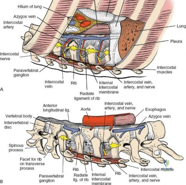 Clinical Image