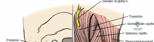 Clinical Image