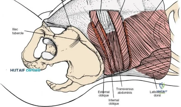 Clinical Image