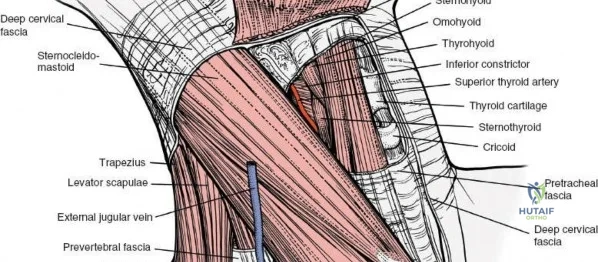 Clinical Image