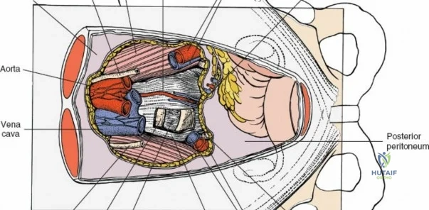 Clinical Image