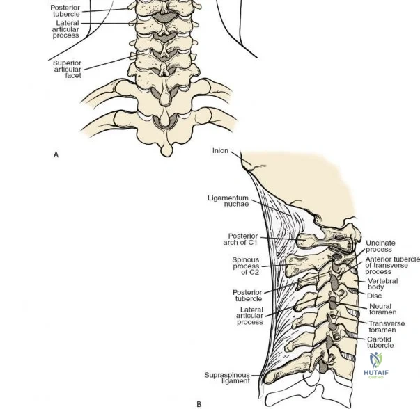 Clinical Image