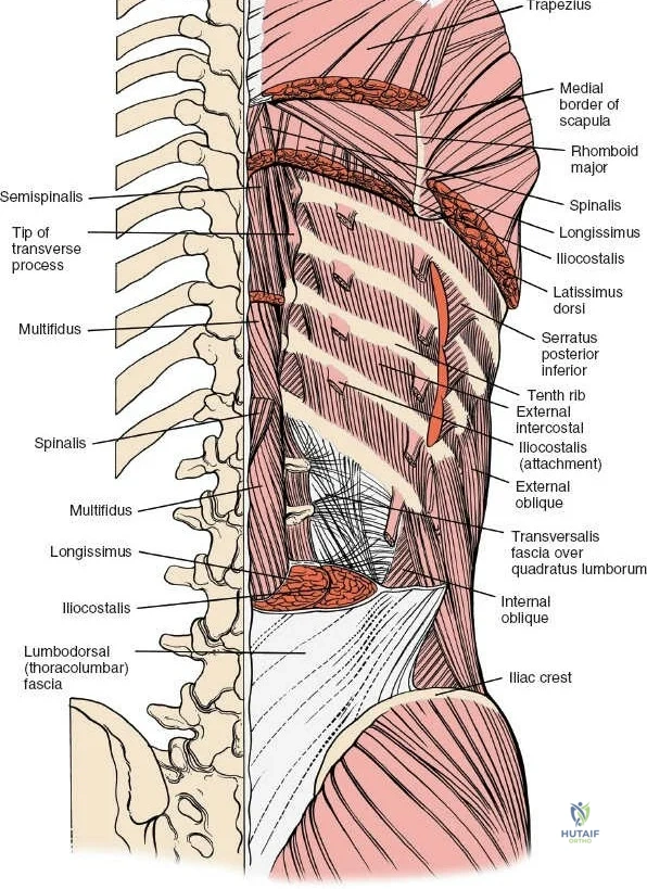 Clinical Image