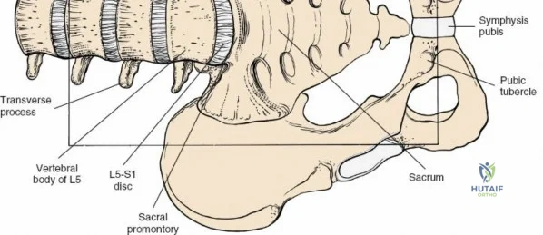 Clinical Image