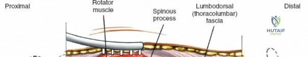 Clinical Image