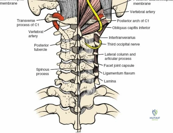 Clinical Image