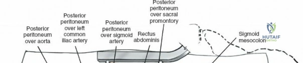 Clinical Image