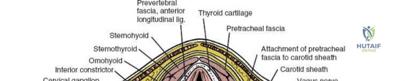 Clinical Image