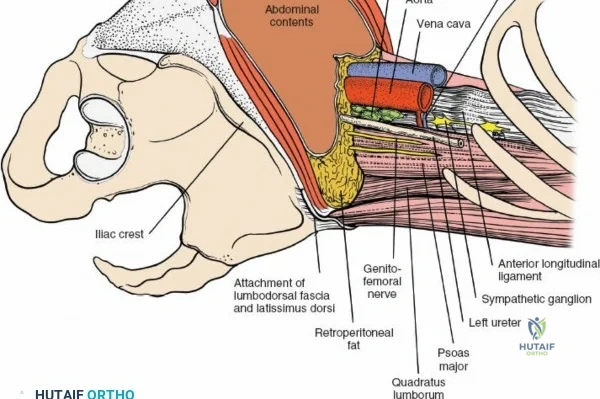 Clinical Image