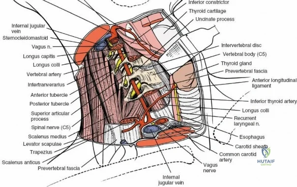Clinical Image