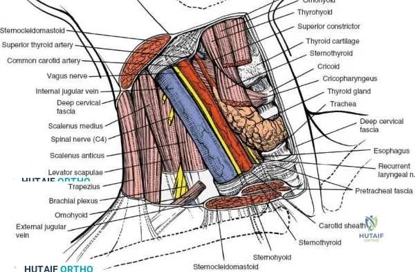Clinical Image