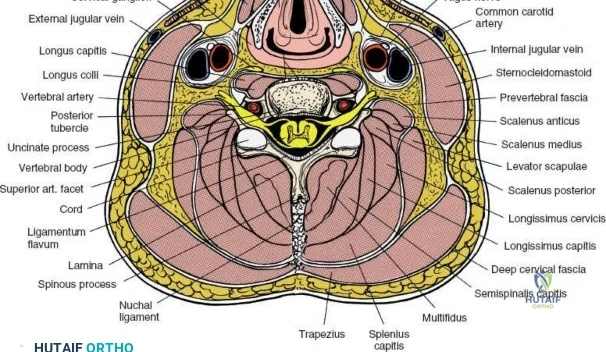 Clinical Image