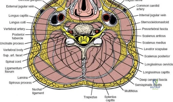 Clinical Image