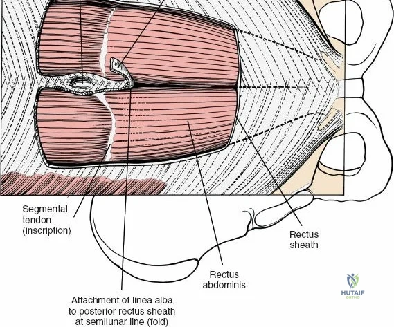 Clinical Image