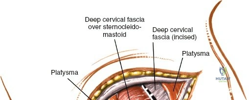 Clinical Image