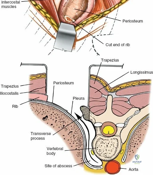 Clinical Image