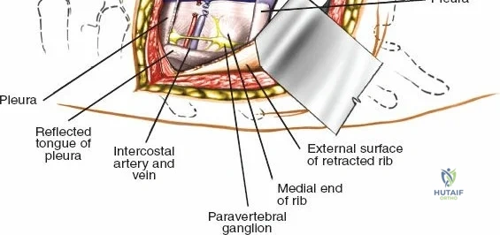 Clinical Image