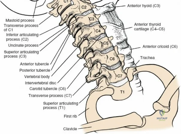 Clinical Image