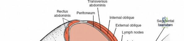 Clinical Image