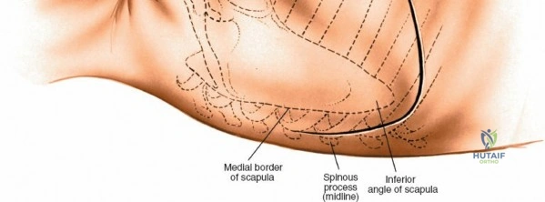 Clinical Image