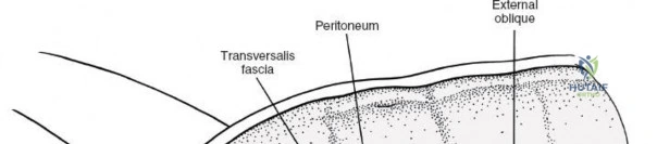 Clinical Image