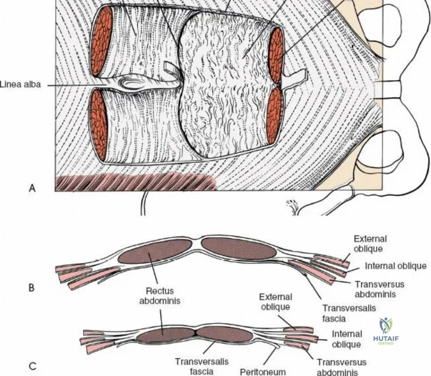 Clinical Image