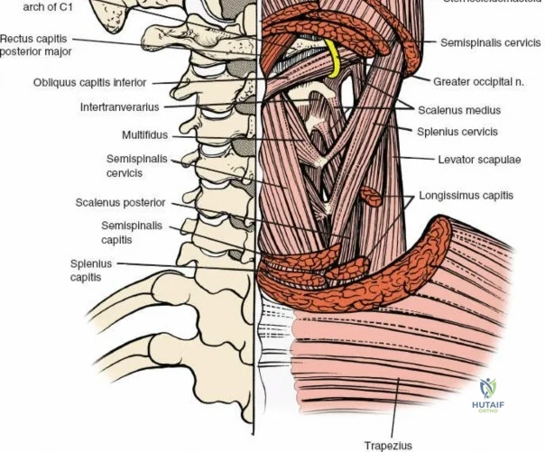 Clinical Image