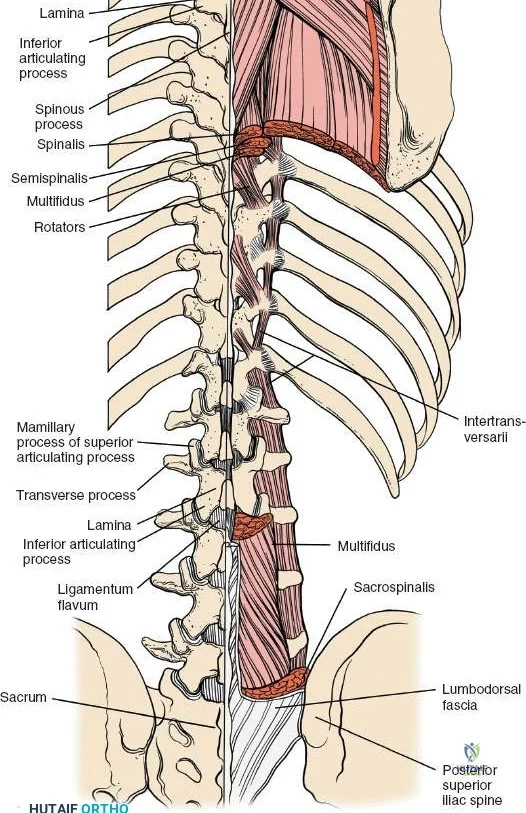 Clinical Image