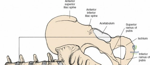 Clinical Image