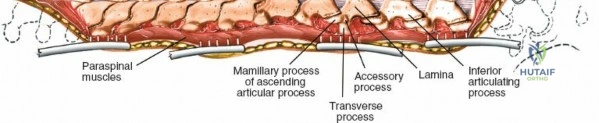 Clinical Image