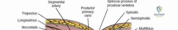 Clinical Image