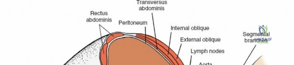 Clinical Image