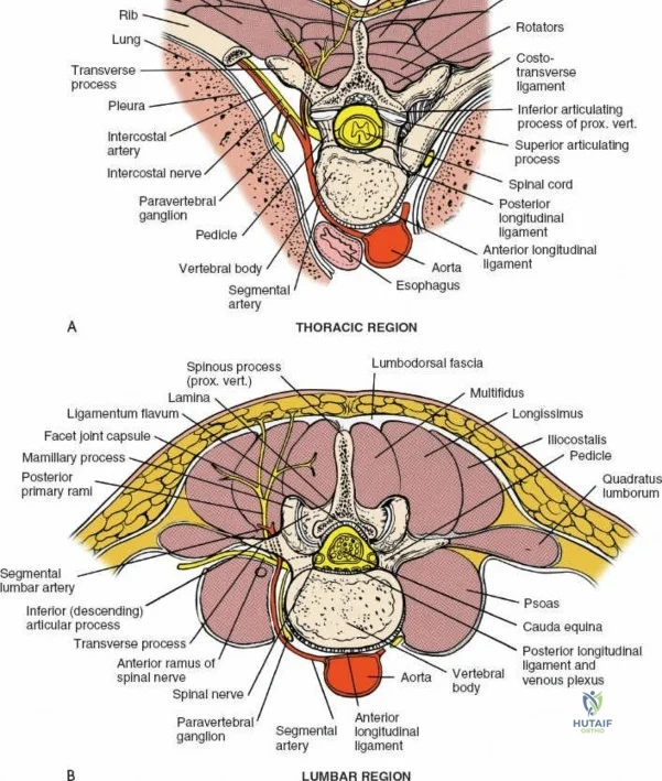 Clinical Image