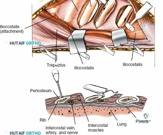 Clinical Image
