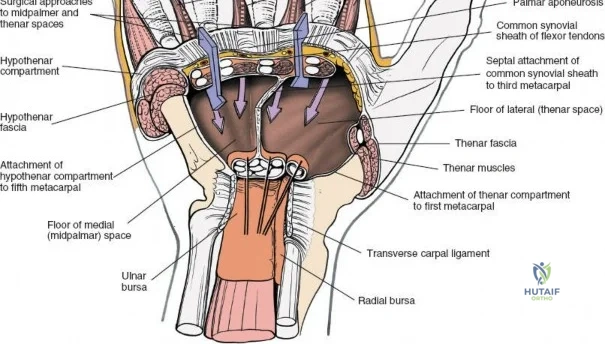 Clinical Image