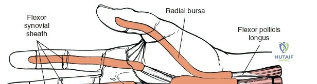 Clinical Image