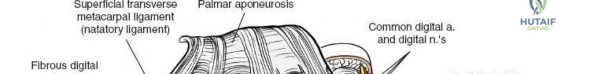 Clinical Image