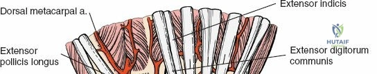Clinical Image
