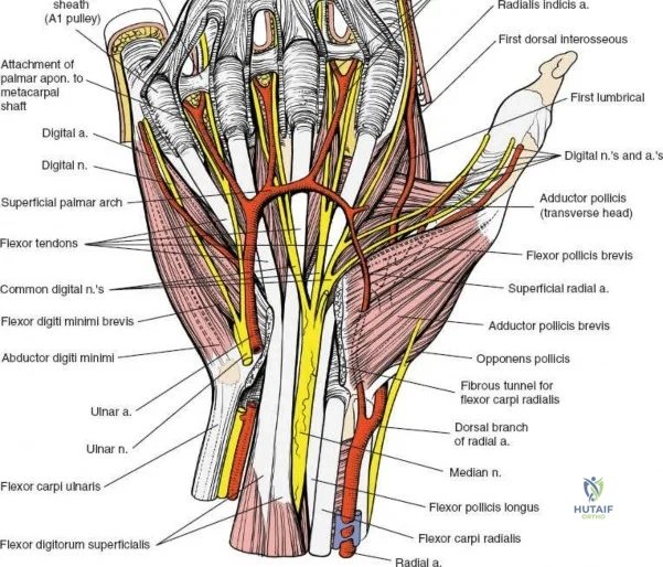 Clinical Image