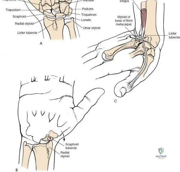 Clinical Image
