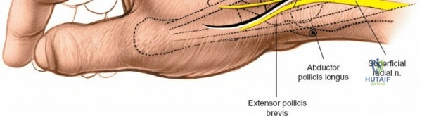 Clinical Image