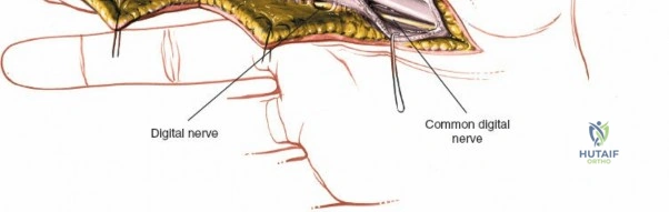 Clinical Image