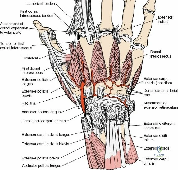 Clinical Image