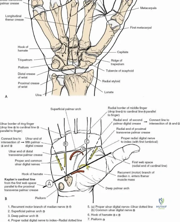 Clinical Image