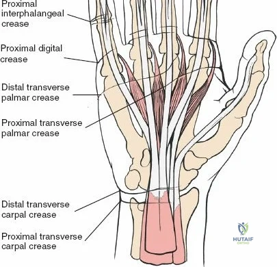 Clinical Image