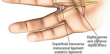 Clinical Image