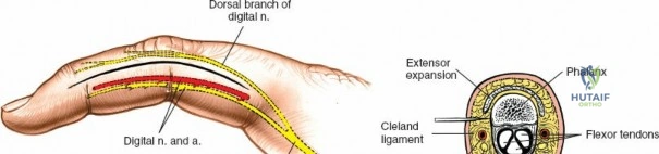 Clinical Image