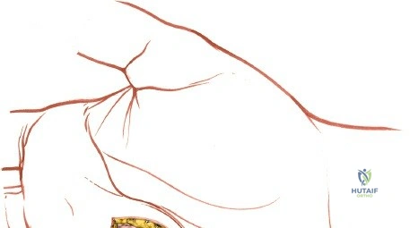 Clinical Image